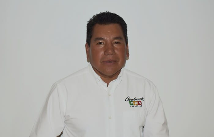 Luis Lugo