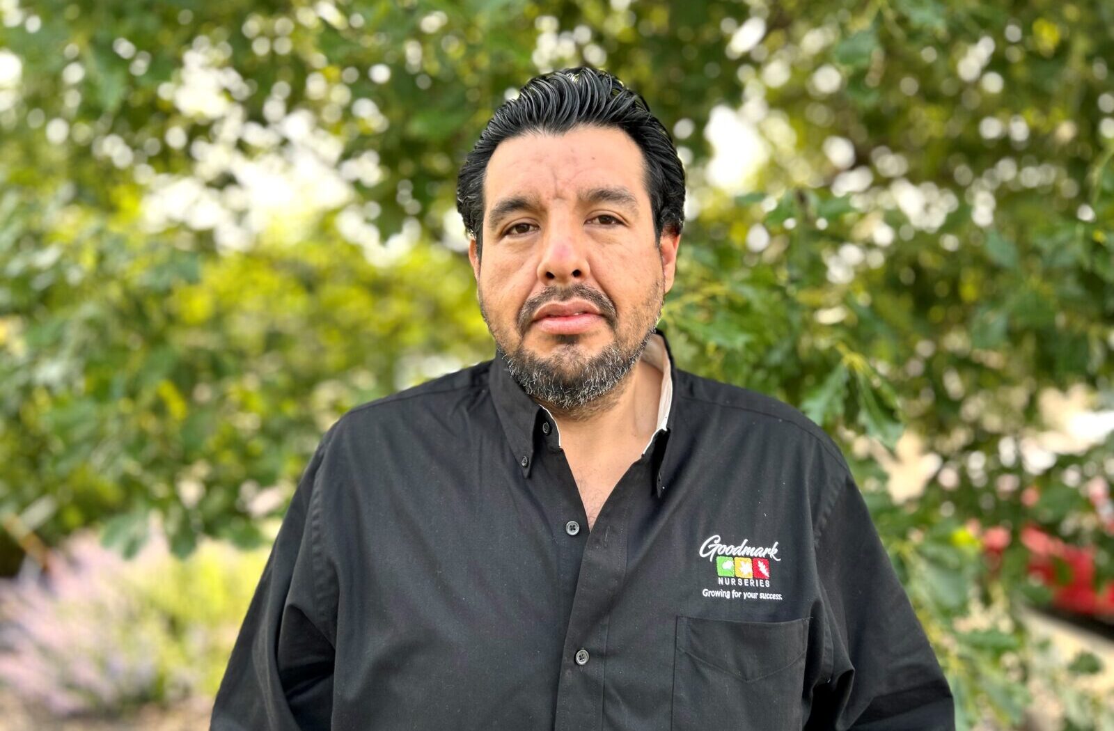 Victor Lugo